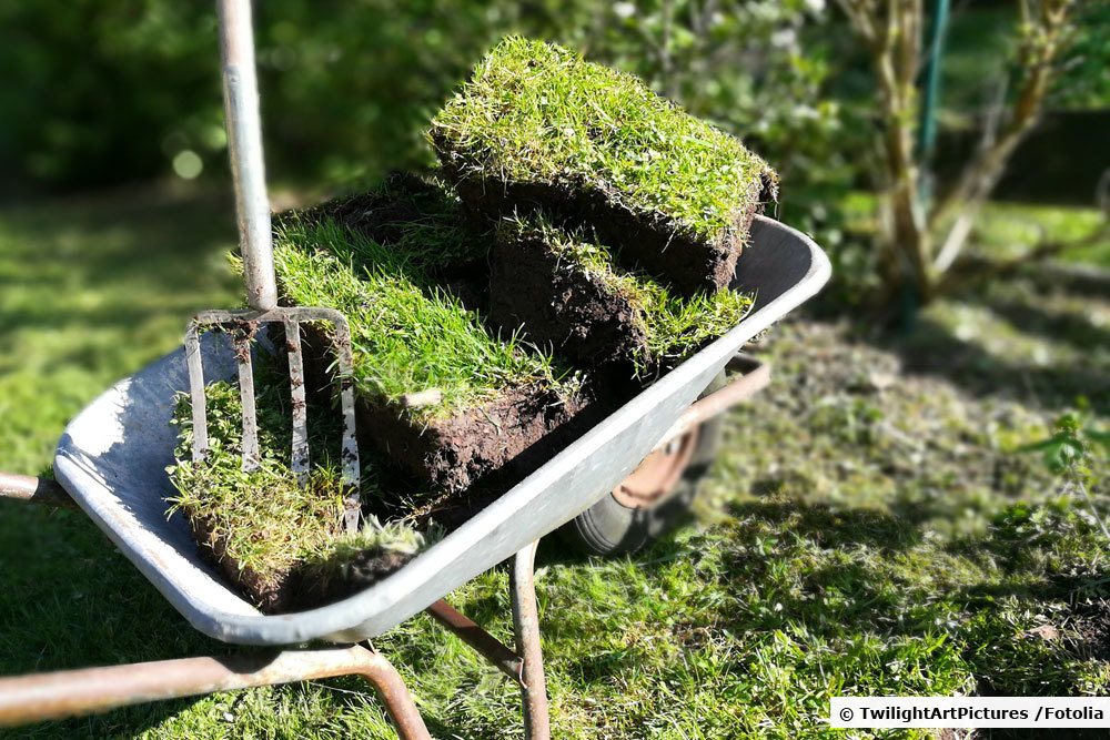 Grassoden in der Schubkarre