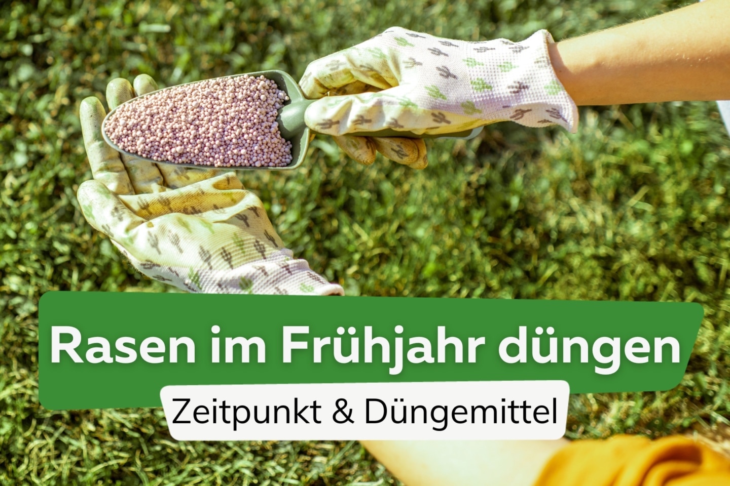 Rasen düngen im Frühjahr ab wann und womit? Die ideale Temperatur