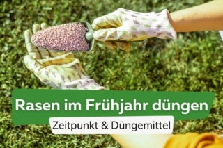 Rasen dngen im Frhjahr: ab wann und womit? Die ideale Temperatur
