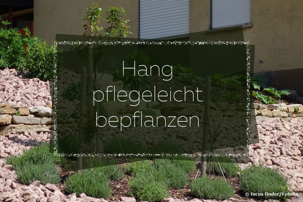 Hang pflegeleicht bepflanzen