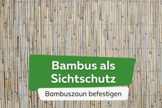 bambus bh Bambus Easy Soft Schwangerschafts-BH Körbchen C Biscuit – Mysanity