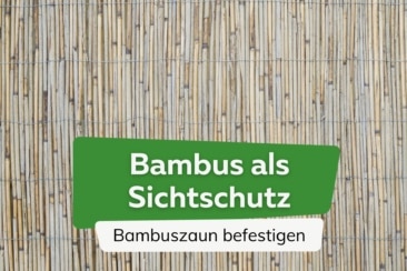 Bambusmatte als Sichtschutz