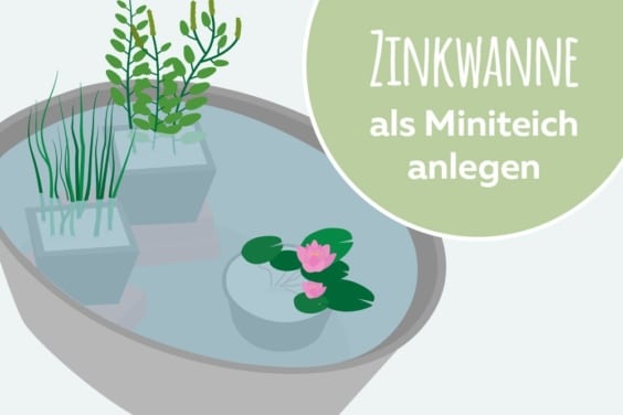 Zinkwanne als Miniteich