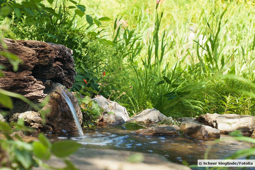 Schaum auf dem Teich