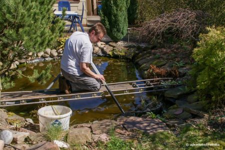 Schwebealgen im Teich bekämpfen 9 Lösungen zum Entfernen