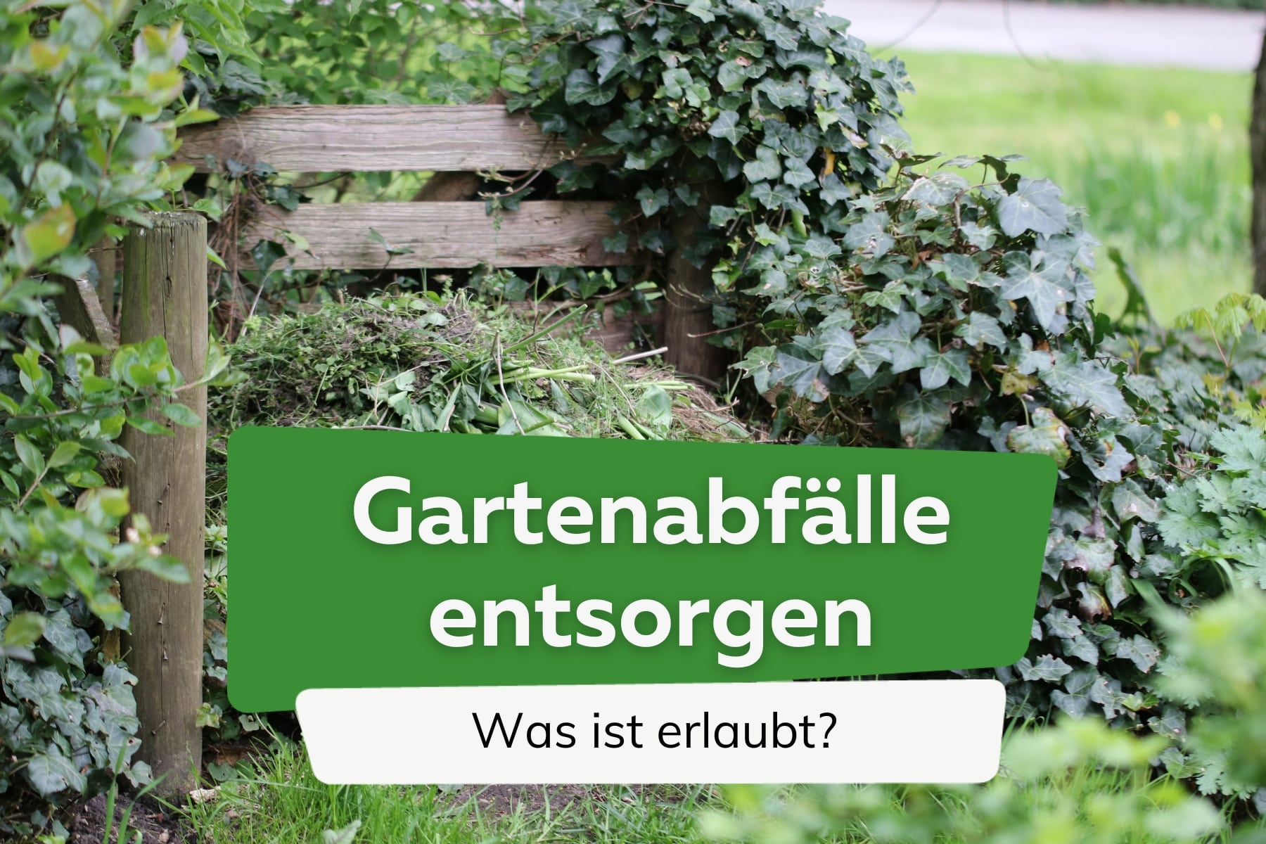 Gartenabfälle richtig entsorgen