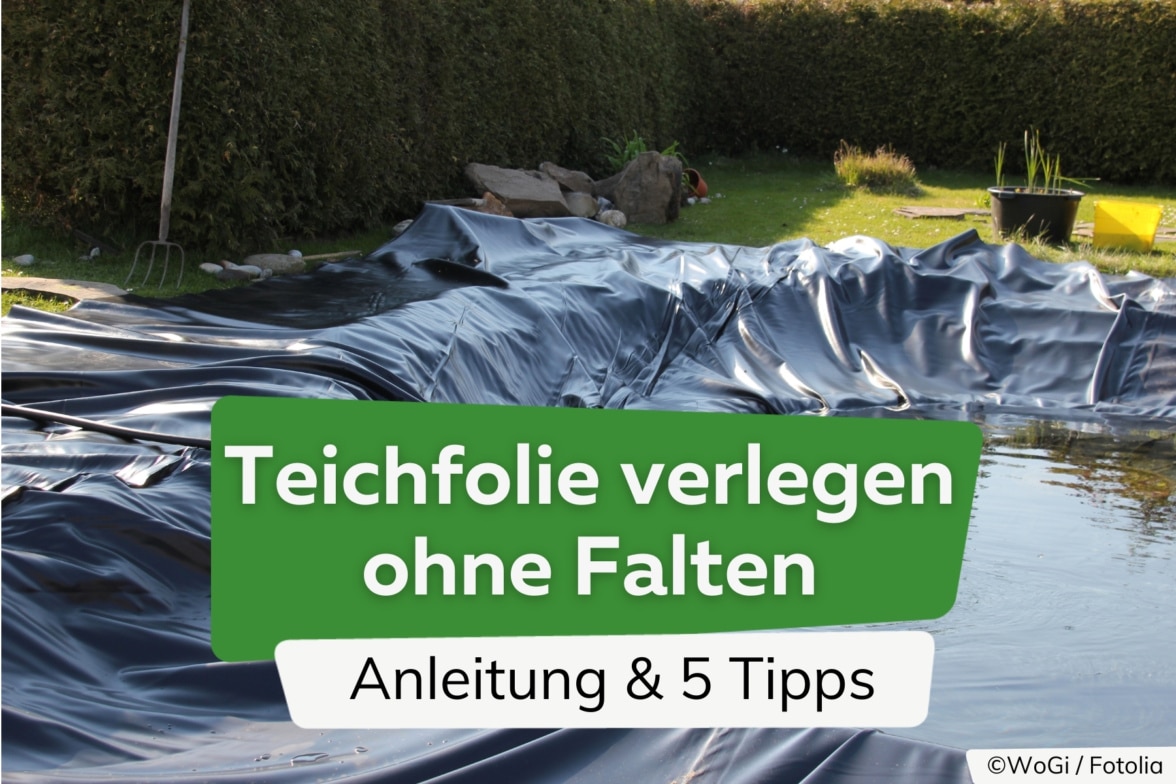 Wie tief und breit sollte ein Gartenteich sein? Teichgröße