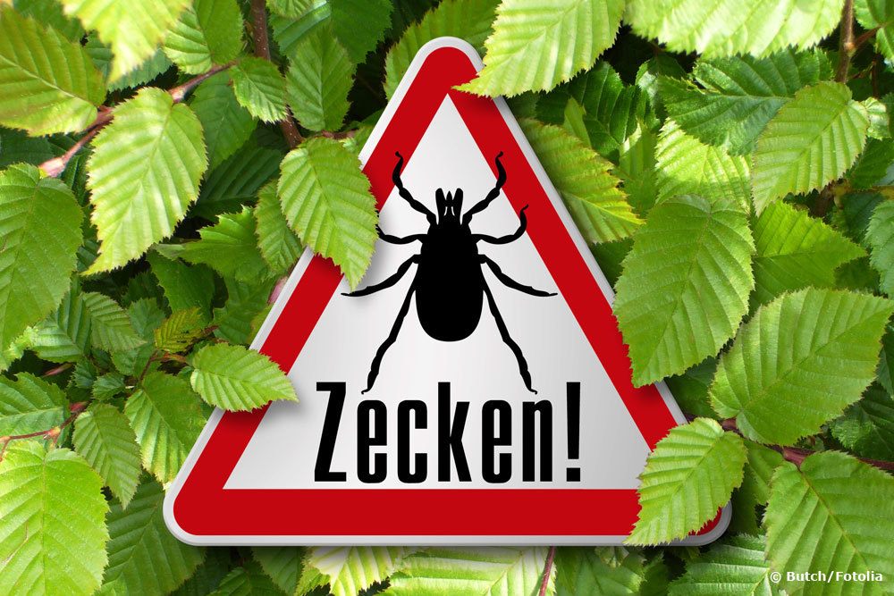 Zecken im Garten