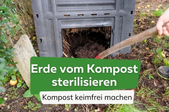 Erde im Kompost sterilisieren