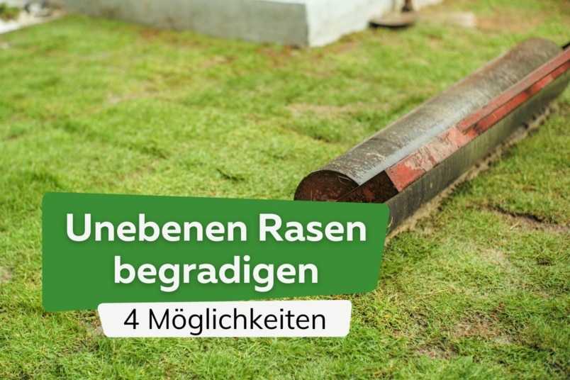 Unebenen Rasen begradigen: 4 Ideen, um ihn zu ebnen