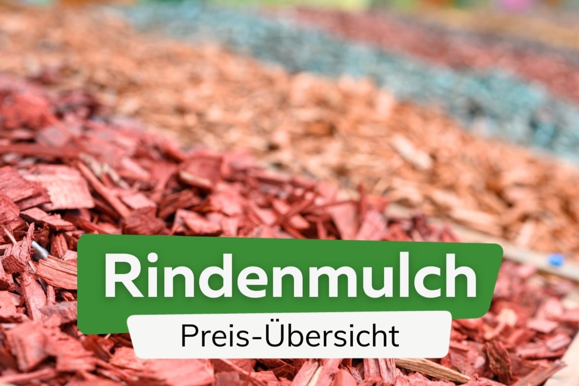 Gras und Rasen im Beet entfernen und verhindern