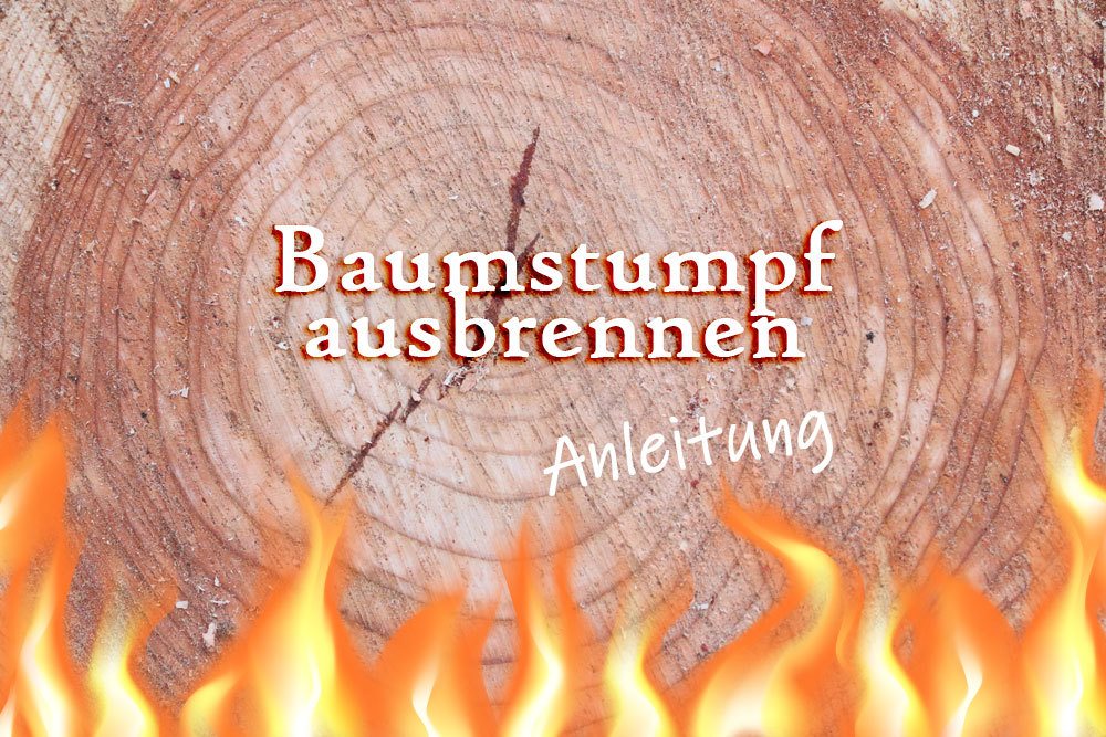 Baumstumpf ausbrennen