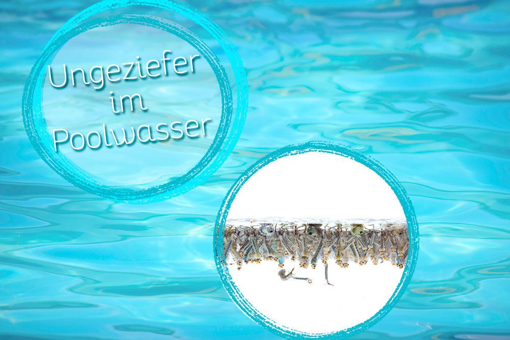 Maden und Würmer im Poolwasser