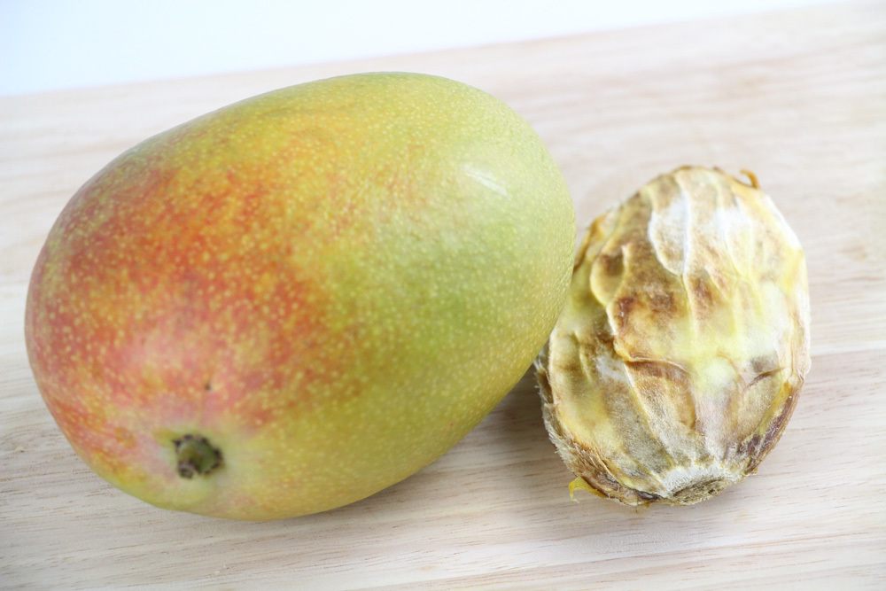 Mango - Mangokern