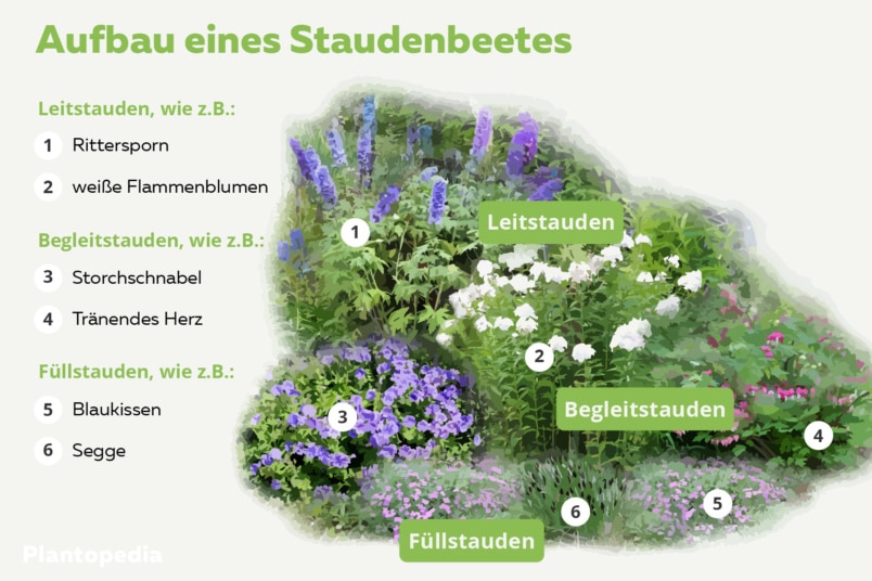 Aufbau eines Staudenbeetes mit Leitstauden (Rittersporn, weiße Flammenblumen) Begleitstauden (Storchschnabel, Tränendes Herz) und Füllstauden (Blaukissen, Segge)