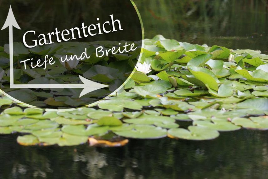 Karbonathärte im Teich so senken oder erhöhen Sie den KHWert