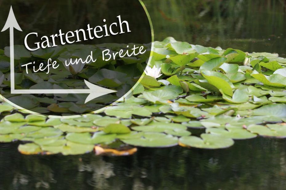 Karbonathärte im Teich so senken oder erhöhen Sie den KHWert