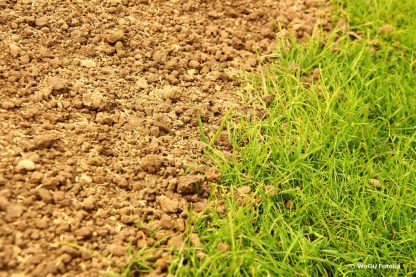 Mutterboden auf alten Rasen ausbringen Rasen mit Erde bedecken