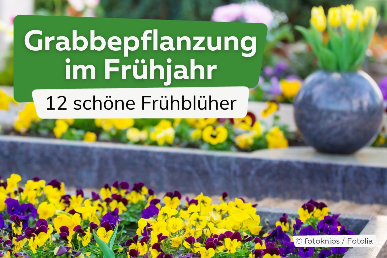 Grabbepflanzung im Frühjahr: 12 frühlingshafte Pflanzen für Gräber