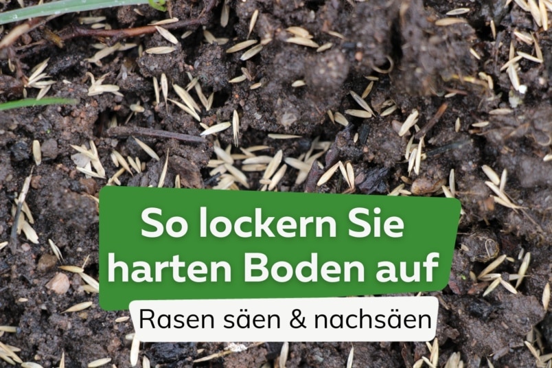 Boden auflockern