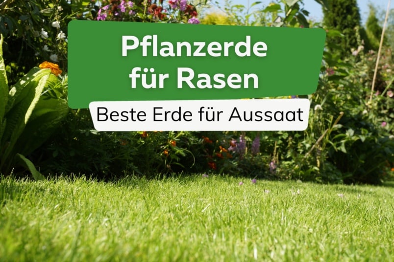 Erde für Rasen - Pflanzerde