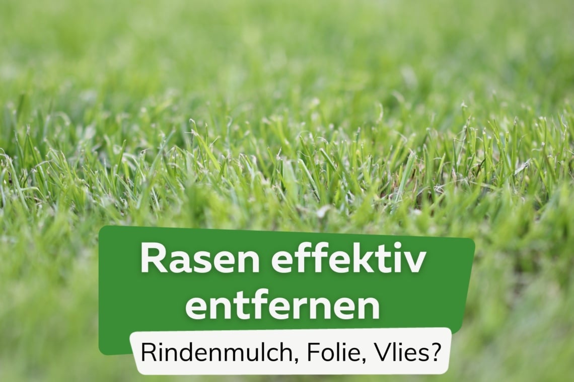 Rasen entfernen wie effektiv helfen Rindenmulch, Folie und Vlies?