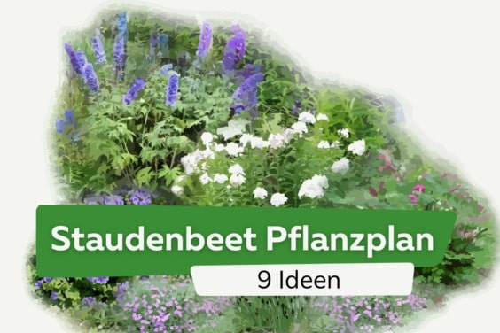 Staudenbeet Pflanzplan: 9 Ideen für Schatten und Sonne