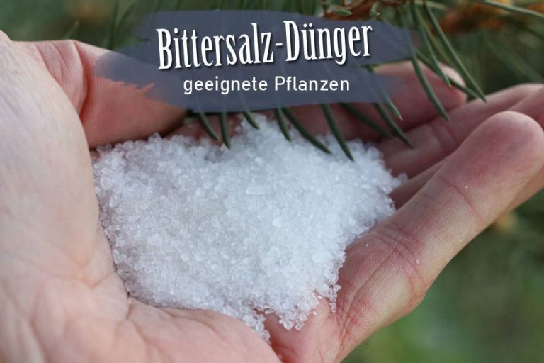 Bittersalz Dünger