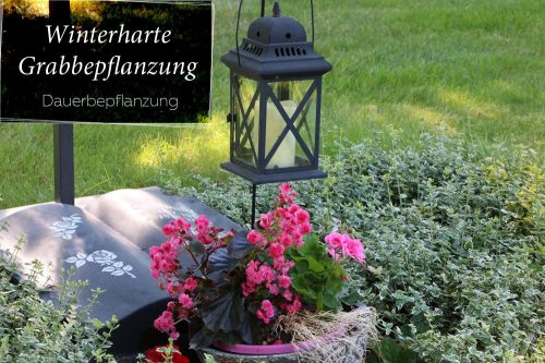 Winterharte Grabbepflanzung - Dauerbepflanzung