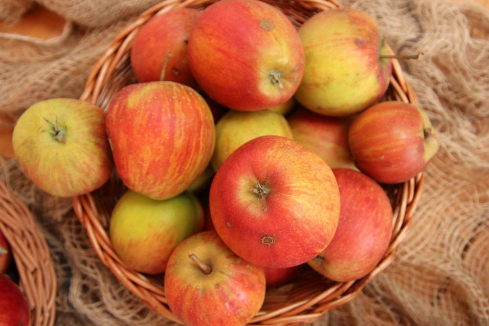 Apfel Rubinette