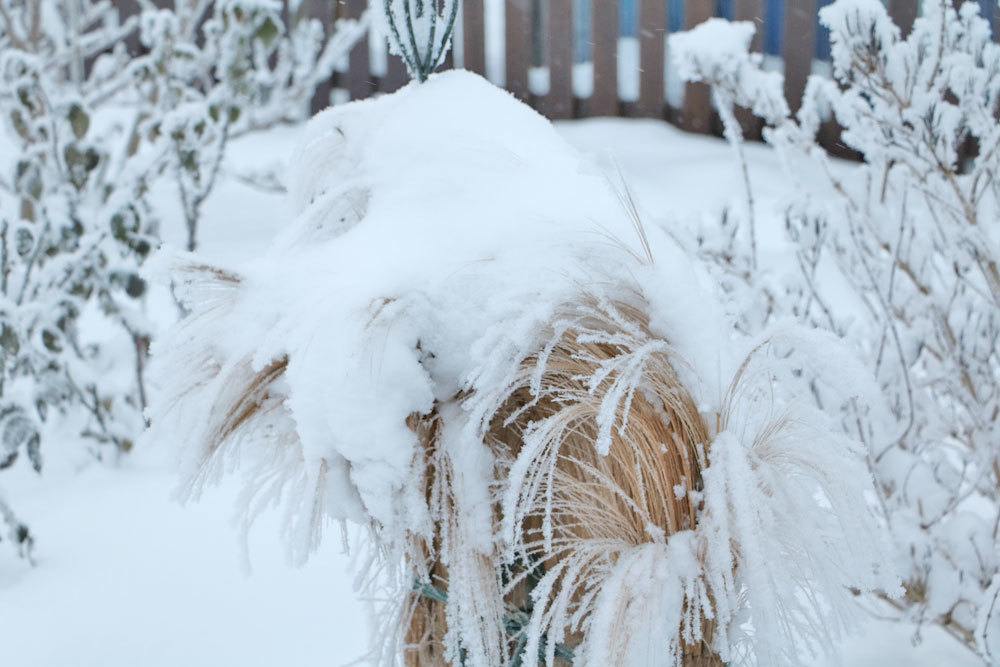 Schneelasten entfernen zählt zu den Gartenarbeiten im Winter