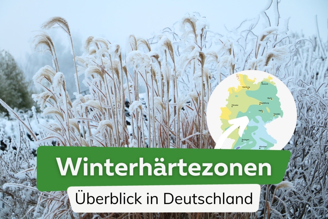 Winterhärtezonen