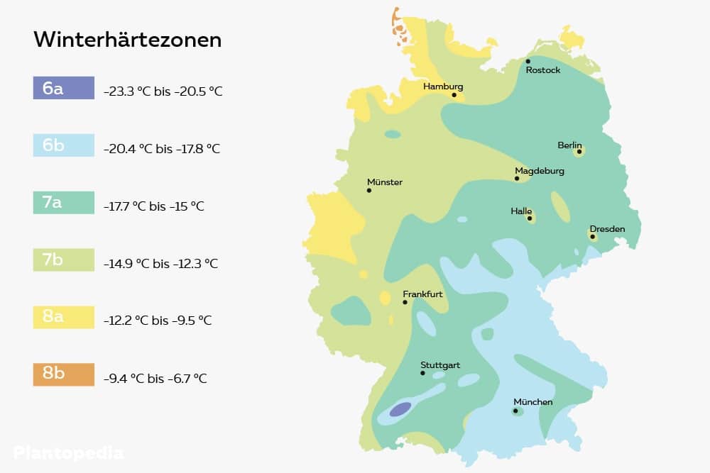 Winterhärtezonen in Deutschland