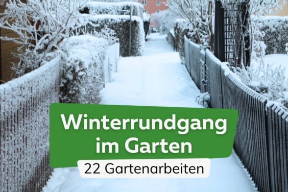 Winterrundgang im Garten