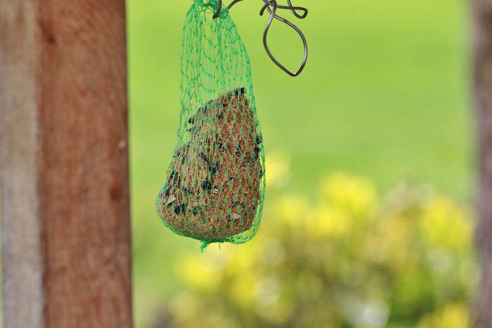 auf Vogelfutter im Netz verzichten