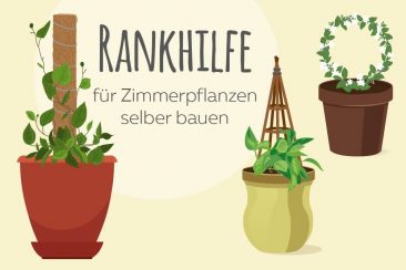 Rankhilfe selber bauen