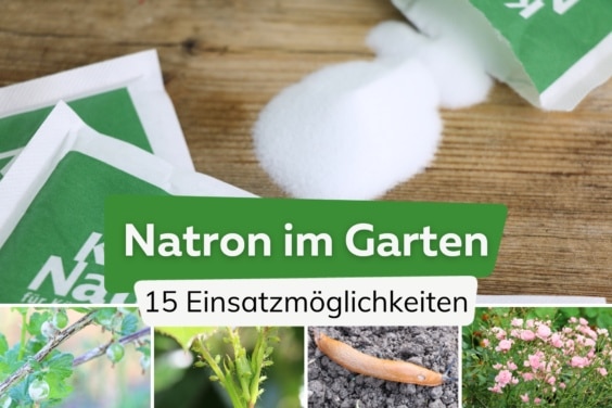 Natron im Garten anwenden | 15 geniale Möglichkeiten