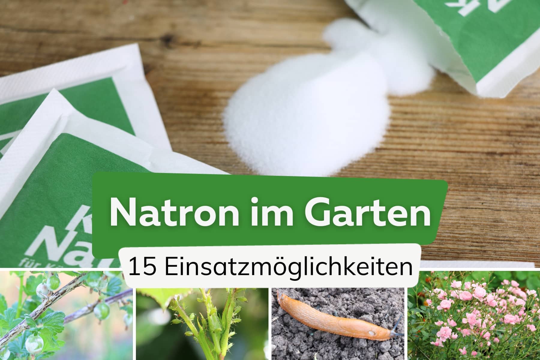 Natron im Garten anwenden | 15 geniale Möglichkeiten