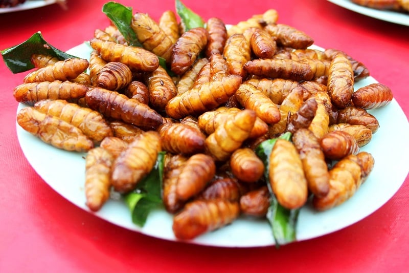 Frittierte Engerlinge mit Kräutern auf Teller angerichtet