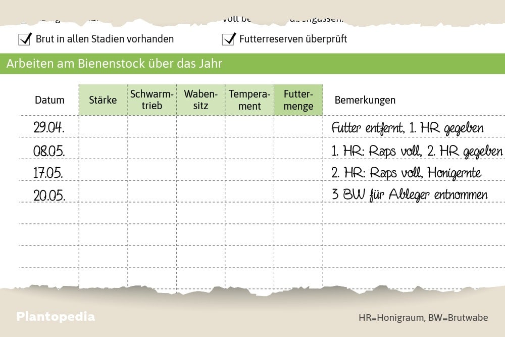 Beispiel für Eintragungen in der Stockkarte