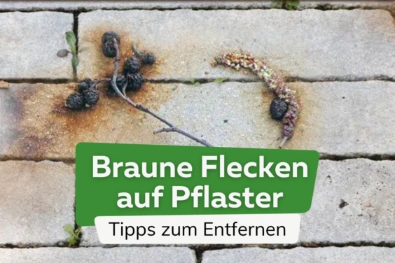 Braune Flecken auf Pflastersteinen