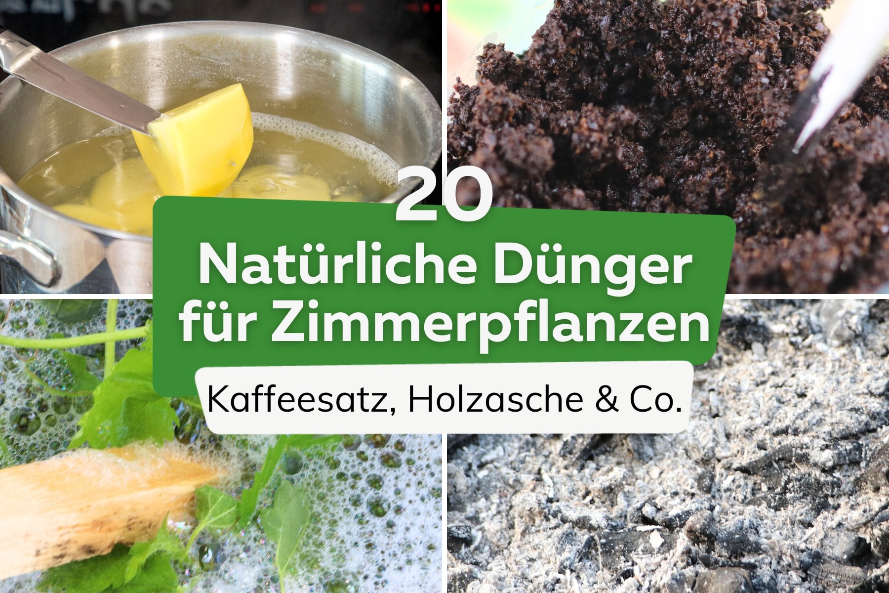 Natürliche Dünger für Zimmerpflanzen