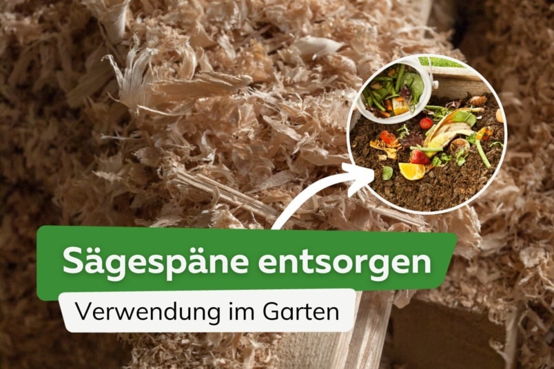 Sägespäne entsorgen: 6 Verwendungen im Garten