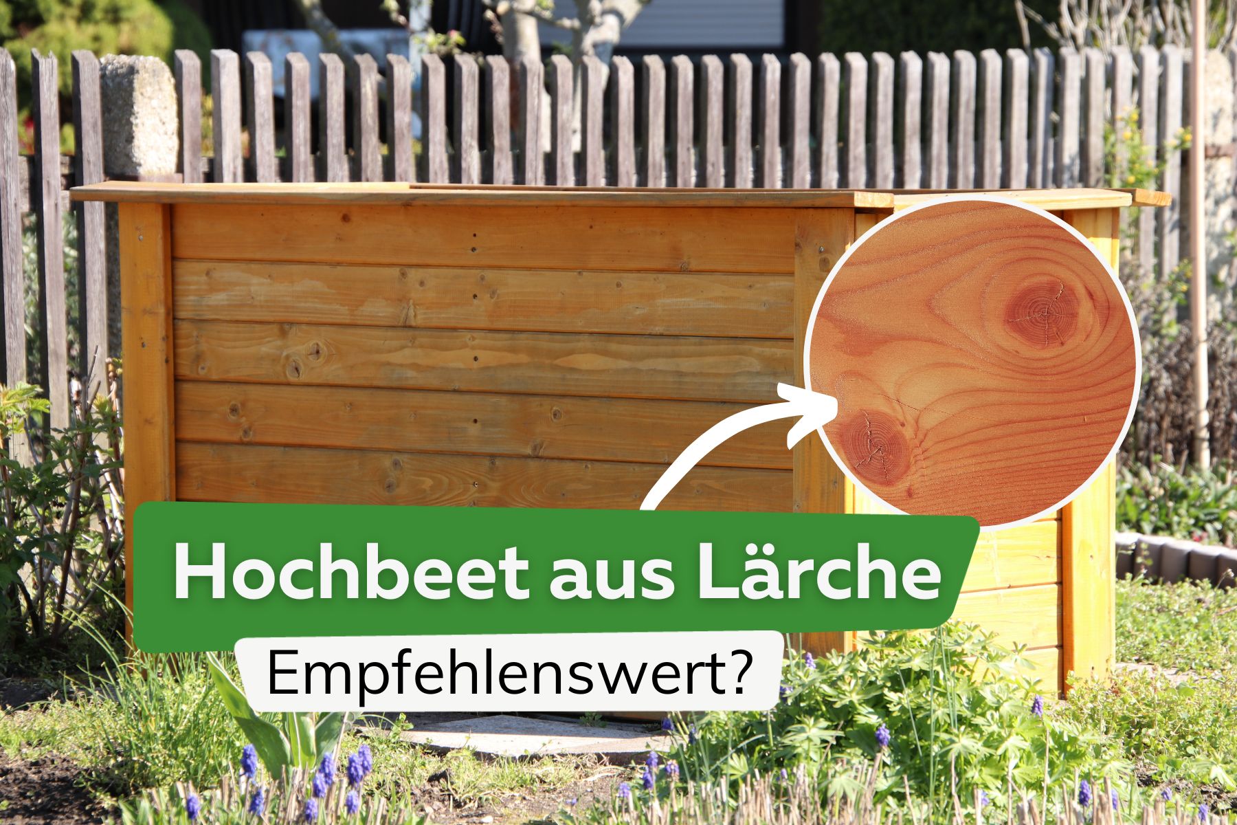 Hochbeet aus Lärche: ist Lärchenholz empfehlenswert?