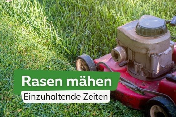 Rasenmähen: diese Zeiten/Uhrzeiten sind einzuhalten