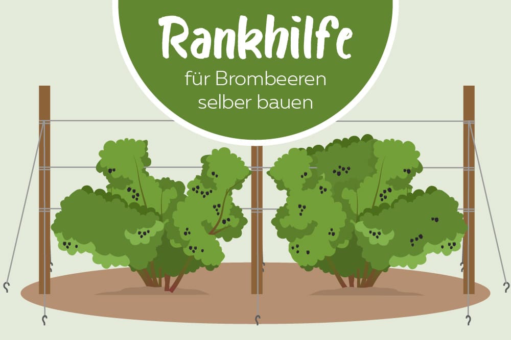 Rankhilfe -Titel