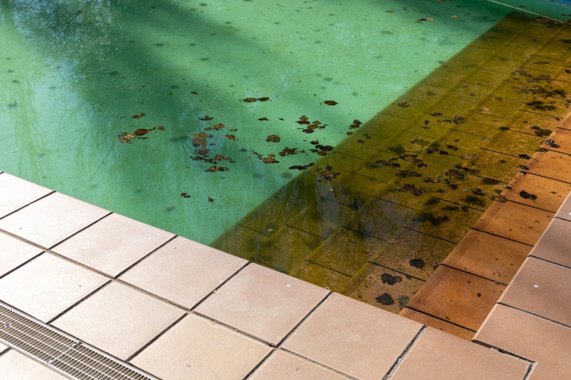 Dreck und Blätter im Pool