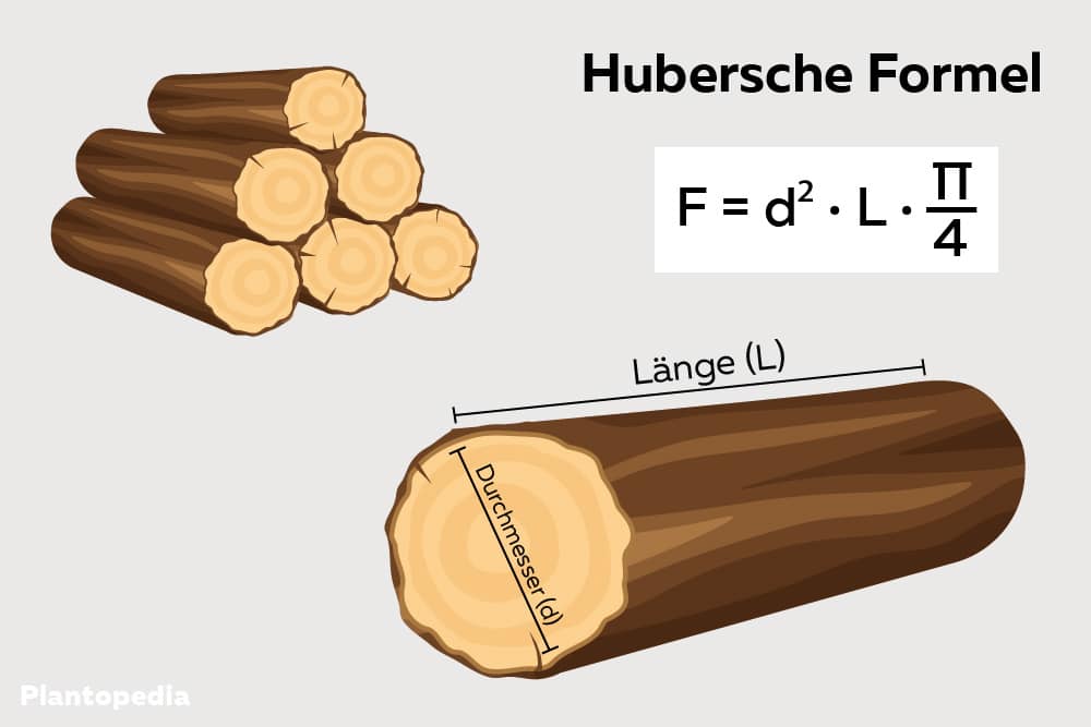 Holz-Festmeter berechnen