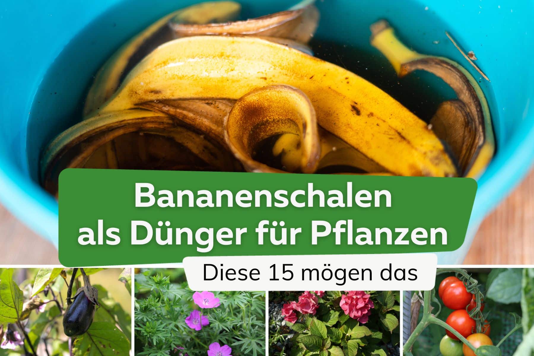 15 Pflanzen die Bananenschalen als Dünger lieben