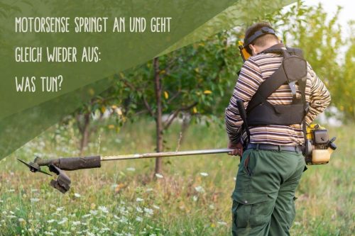 Auto Springt An Und Geht Wieder Aus Motorsense springt an und geht gleich wieder aus: was tun?